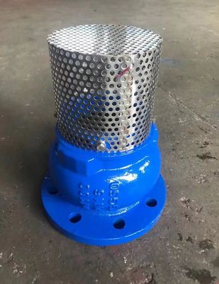 GGG50 PN10/16 cast iron foot valve