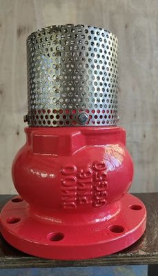 GGG50 PN10/16 cast iron foot valve