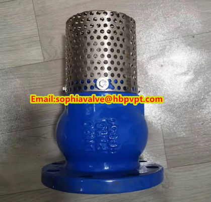 Base GGG50 DIN flanged foot valve made in China