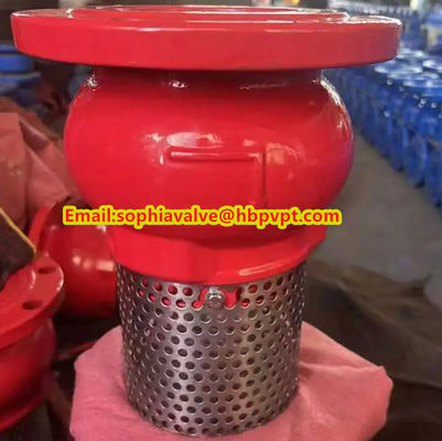 Base GGG50 DIN flanged foot valve made in China