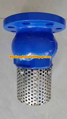 Base GGG50 DIN flanged foot valve made in China