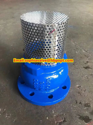Base GGG50 DIN flanged foot valve made in China