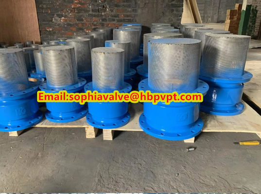 Base GGG50 DIN flanged foot valve made in China