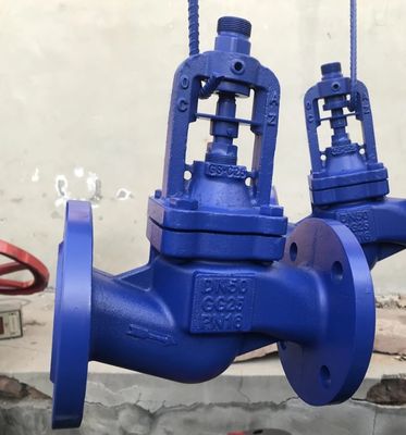 bellows globe valve with body material GG25 bonnet GS-C25