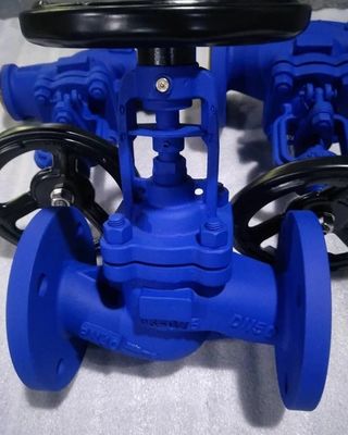 PN16 DIN3356 bellows globe valve from PAWOFUOU valve