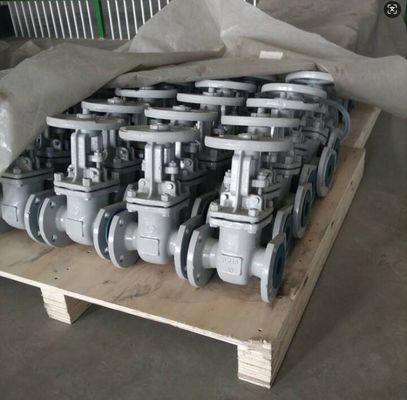 PN16 DN80 GOST cast steel gate valve