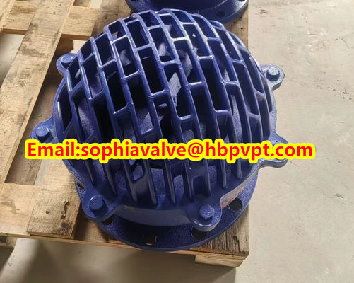 foot valve with resilient seal flange standard BS4504