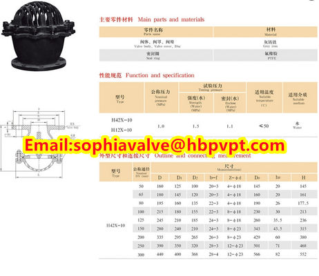 seat EPDM PN10/PN16 flanged foot valve