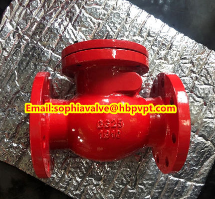 DIN3356 PN16 GGG50 cast iron swing check valve