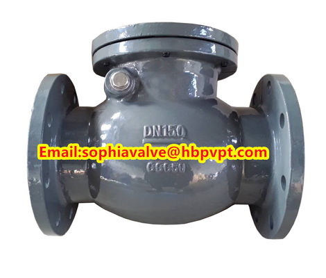 BS5153 PN16 cast iron swing check valve