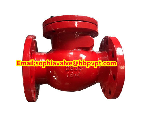 BS5153 PN16 cast iron swing check valve