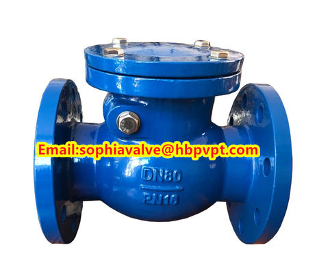 BS5153 PN16 cast iron swing check valve