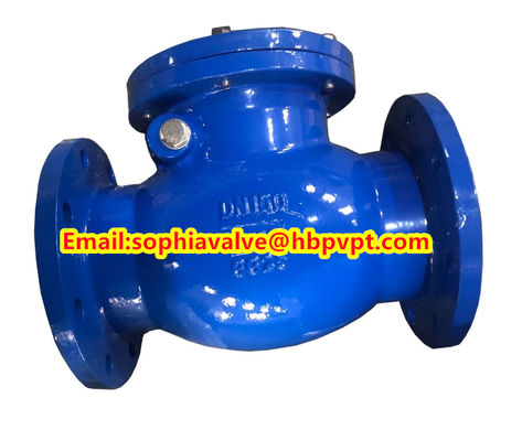 BS5153 PN16 cast iron swing check valve