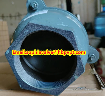 EPDM resilient seal cast iron PN10 foot valve