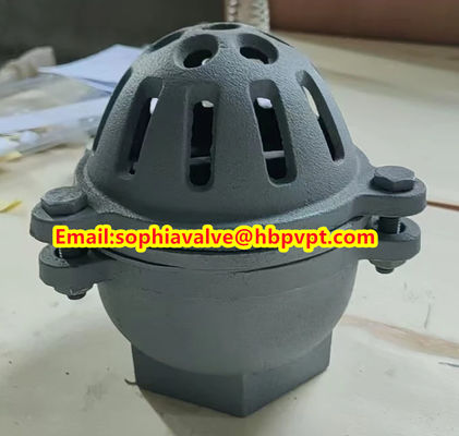 EPDM resilient seal cast iron PN10 foot valve