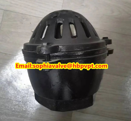 EPDM resilient seal cast iron PN10 foot valve