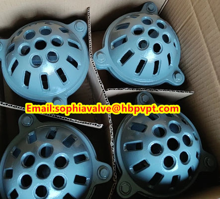 EPDM resilient seal cast iron PN10 foot valve