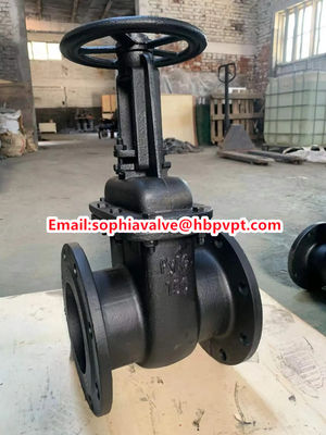 Py 10 GOST rising stem cast iron gate valve
