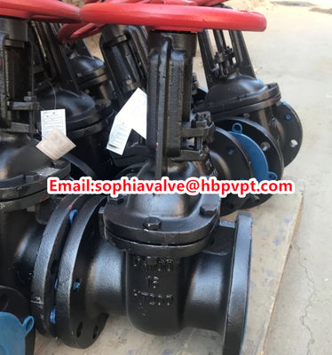 Py 10 GOST rising stem cast iron gate valve