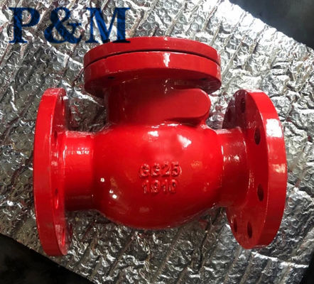 cast iron metal seal GG25 flanged check valve