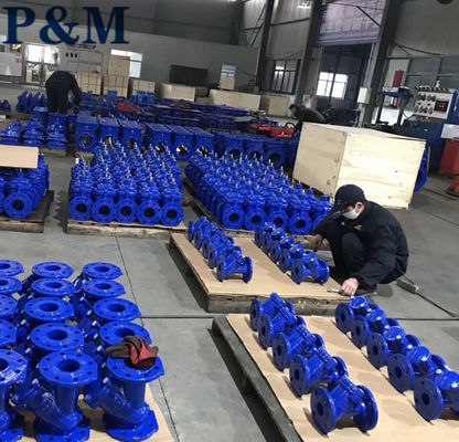 GGG50 DIN cast iron ball type check valve
