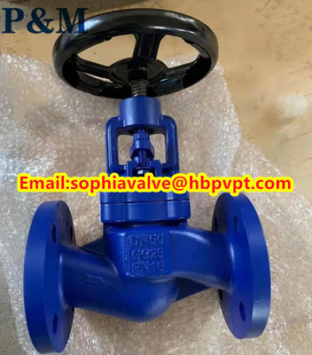 DIN GG25 PN16 cast iron globe valve made in China