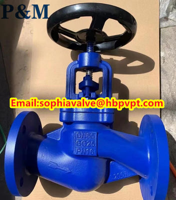 DIN GG25 PN16 cast iron globe valve made in China