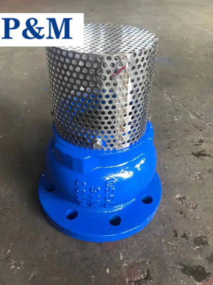 DN100 PN16 GGG50 cast iron flanged foot valve