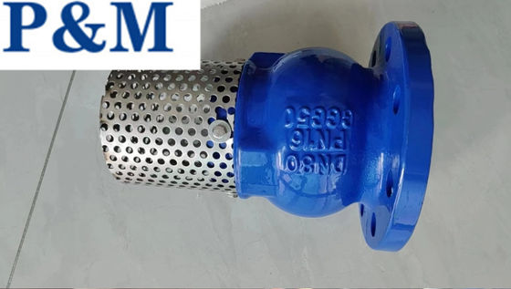 DN100 PN16 GGG50 cast iron flanged foot valve