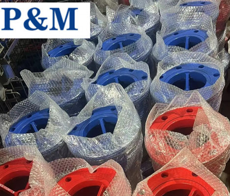 DN100 PN16 GGG50 cast iron flanged foot valve
