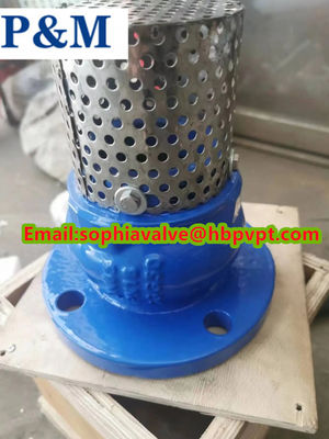 flanged foot valve size DN150 pressure PN16 material GGG50
