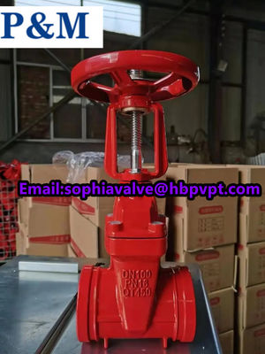 PN16 PN25 grooved end cast iron gate valve
