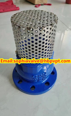 2024 hot sale flanged foot valve material GGG40