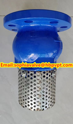 2024 hot sale flanged foot valve material GGG40