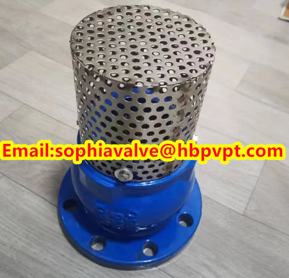 2024 hot sale flanged foot valve material GGG40