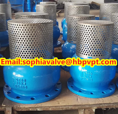 DN200 PN16 GG25 foot valve