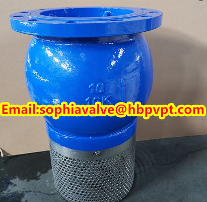 DN200 PN16 GG25 foot valve