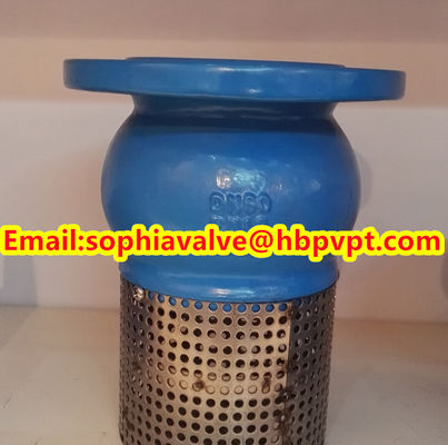 DN200 PN16 GG25 foot valve