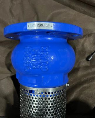 EPDM seal ductile iron flanged foot valve made in China