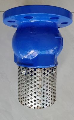EPDM seal ductile iron flanged foot valve made in China