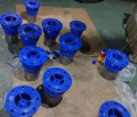 EPDM seal ductile iron flanged foot valve made in China