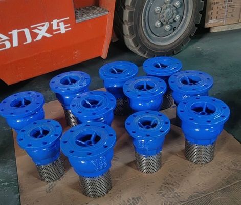 EPDM seal ductile iron flanged foot valve made in China