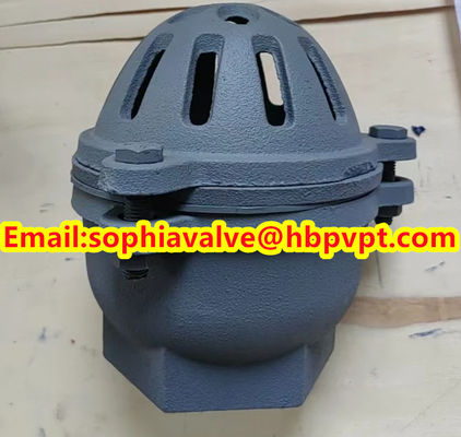 BRITISH STANDARD BS21 cast iron threaded foot valve