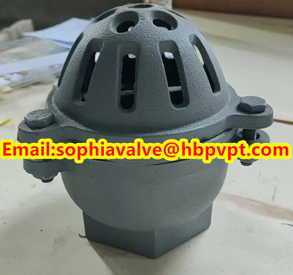 BRITISH STANDARD BS21 cast iron threaded foot valve