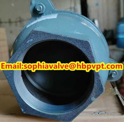 BRITISH STANDARD BS21 cast iron threaded foot valve
