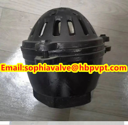 BRITISH STANDARD BS21 cast iron threaded foot valve