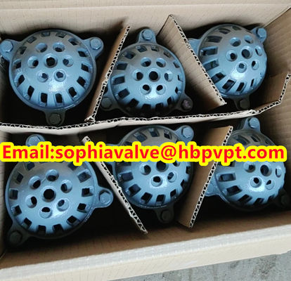 BRITISH STANDARD BS21 cast iron threaded foot valve