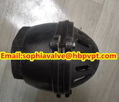 PN16 GG20 BS21 cast iron foot valve