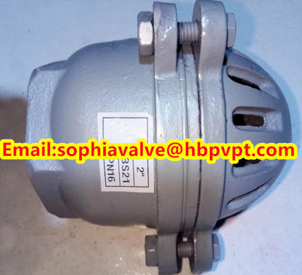 PN16 GG20 BS21 cast iron foot valve