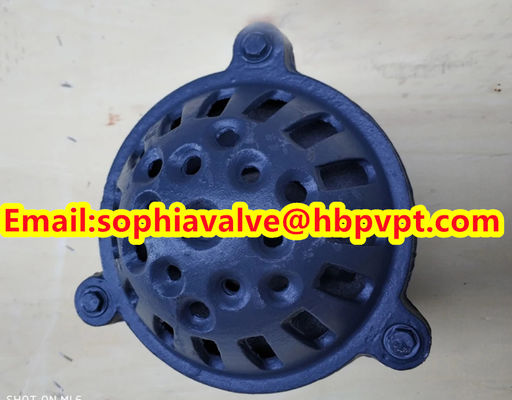 PN16 GG20 BS21 cast iron foot valve